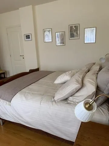 La Casa Di Nonna Rosmi * סאלוצו